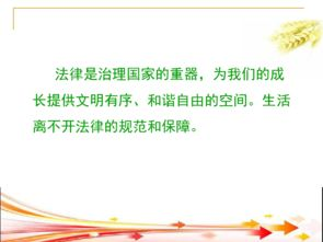 三、秘密妈妈的法律保障与道德考量