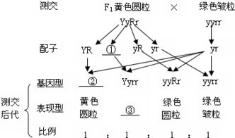 二、提升邻里关系的有效方法