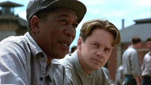 二、电影《肖申克的救赎》：希望与自由的象征