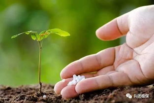 合理施肥与病虫害防治