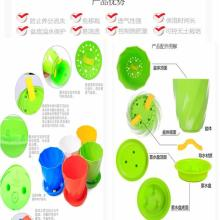 四、浇水与保湿