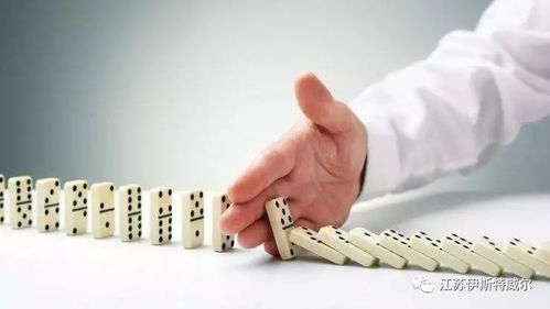 四、潜在的法律风险