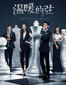 二、家庭伦理剧：《温暖的弦》