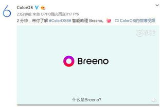 一、了解免费在线影视平台的种类