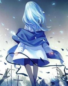 三、搜索与筛选动漫资源