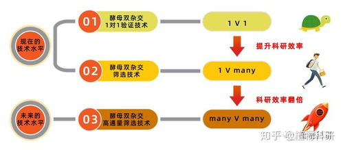二、技术限制下的创意无限