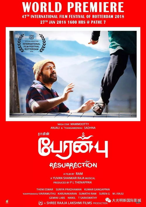 一、电影大全的概述