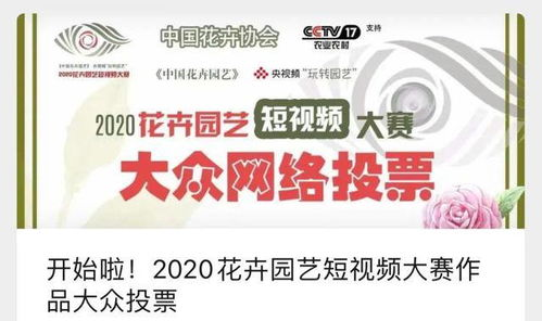 二、关注官方活动