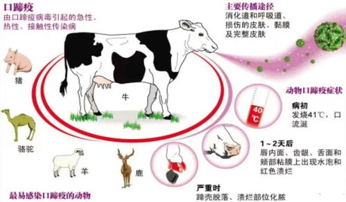 四、预防水泡形成的措施