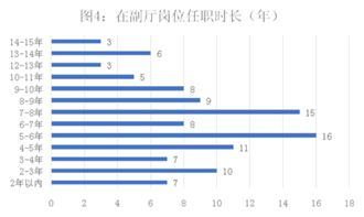 三、工作女郎的职业发展路径