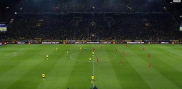 三、CCTV5体育直播观看技巧