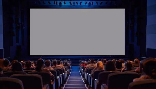 二、高清观影体验