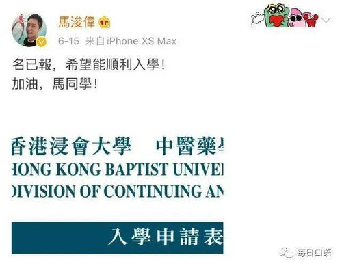 四、免费粤语港剧网的使用技巧