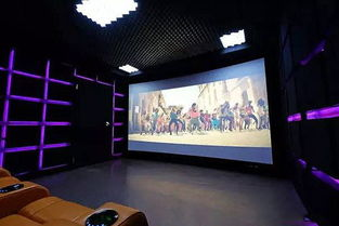 二、如何选择合适的免费电影院网站