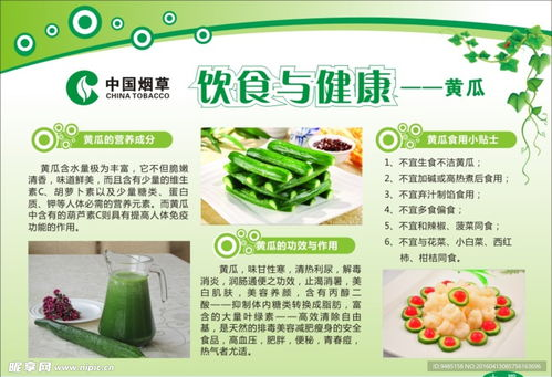 四、健康饮食的春天理念