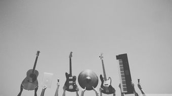 四、音乐与画面艺术的融合