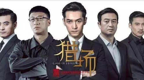 二、免费电视剧网站的选择