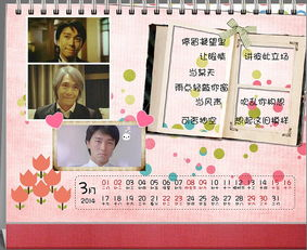 三、性别角色与权力动态