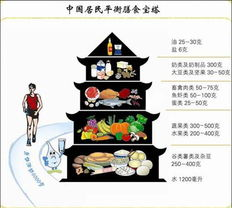 二、制定合理的饮食计划