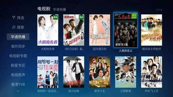 四、草蜢影视的观影建议