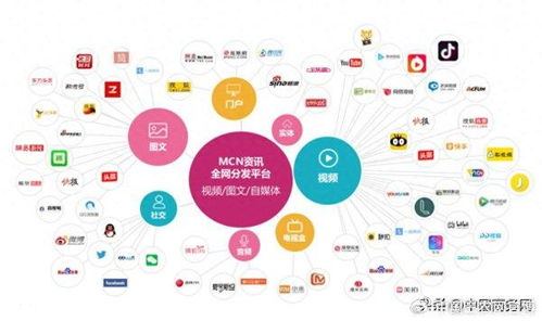 三、八戒网平台的优势分析