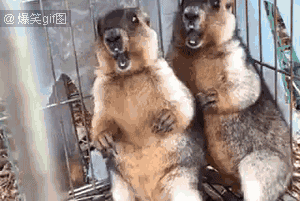 四、关注社交媒体动态