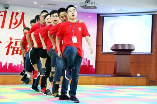 四、友情的力量：团队协作与成长