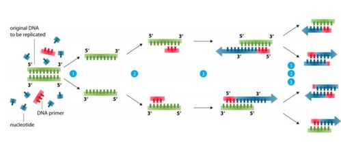 一、迅雷磁力链的工作原理及优势