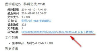四、迅雷磁力链下载的安全性问题