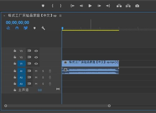 二、视频质量与加载速度