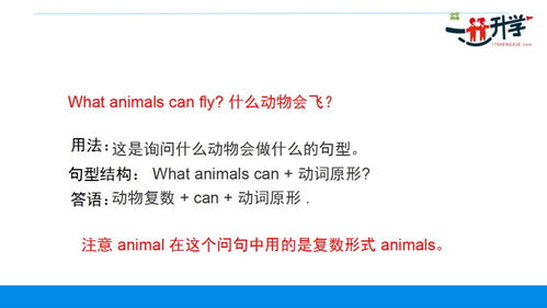 三、《棒棒》第六集剧情解析