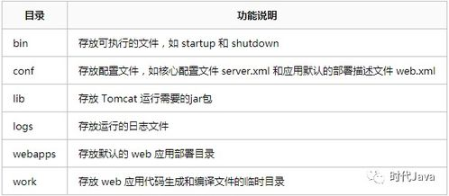 一、77网站概述