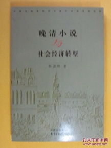 四、小说的社会影响