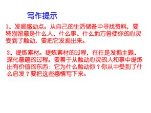 四、情感交流与共鸣