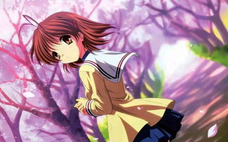 一、樱花动漫网站的优势