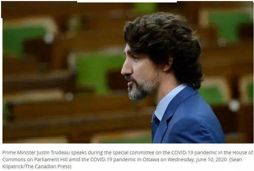 三、如何判断一路向北电影未删减版的真伪