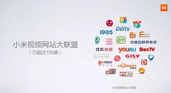 二、视频网站集成服务