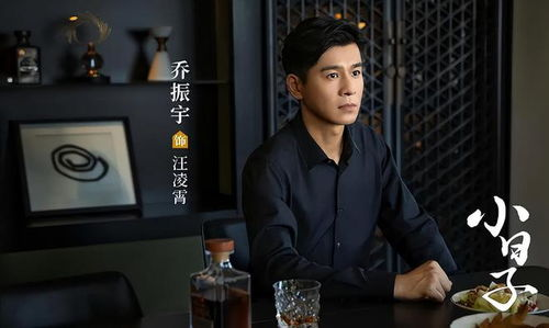 二、合法免费观看追风者电视剧的途径