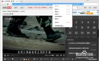 二、主流免费高清视频平台的介绍