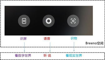 三、高清播放功能详解