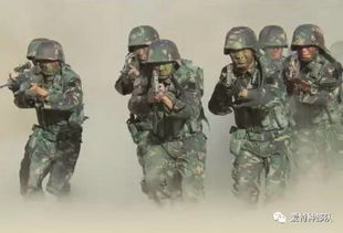 二、特种兵的素质要求