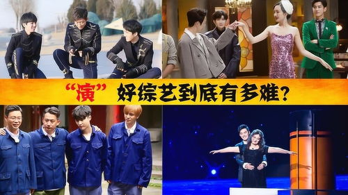 三、综艺节目中的明星效应