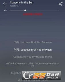 三、下载中文字幕2018免费版的技巧