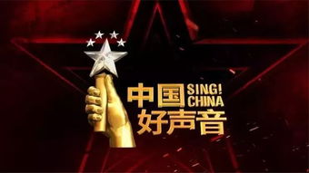 中国好声音节目概述与音乐影响力