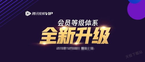 免费会员权益与内容限制解析