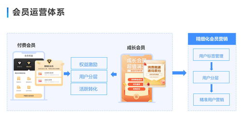利用会员特权与优惠活动