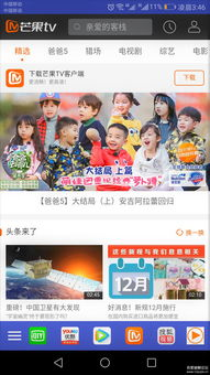 主流正版视频平台及其36集电视剧资源