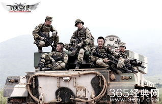 战狼4简介与观看需求分析