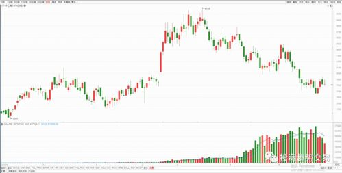 《外出3》主要角色分析与表演亮点