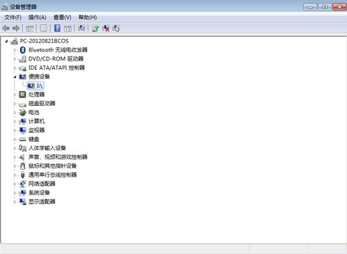 入禽太深全文无删减版阅读体验与设备兼容性